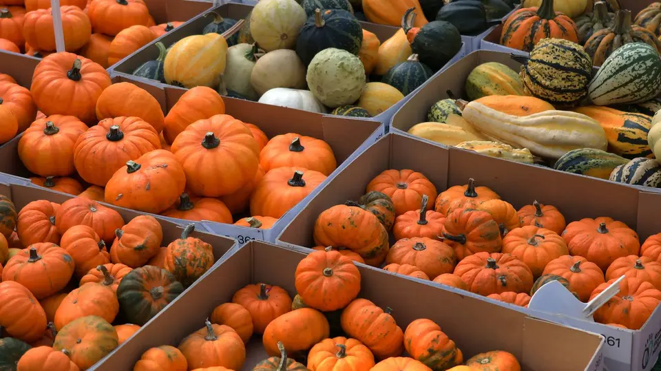 Several kinds of fresh vegetables laid out on a table, each with a plain blank paper tag.