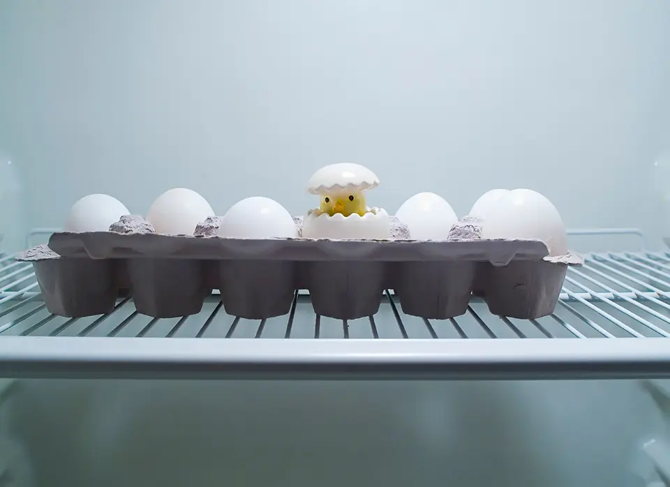 Brown eggs resting in their pressed-paper carton on an inside shelf of a clean, lit refrigerator.