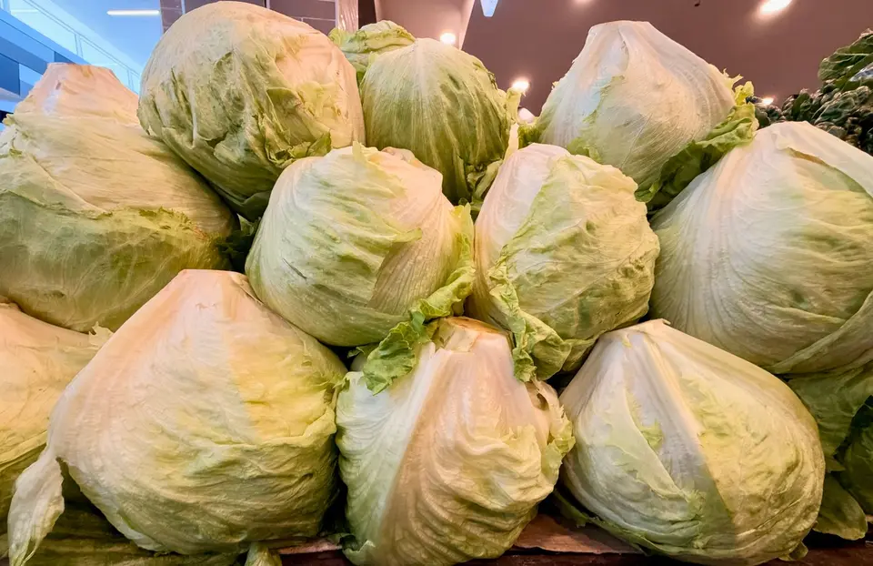 A round, tightly packed head of pale green iceberg lettuce on a kitchen counter.