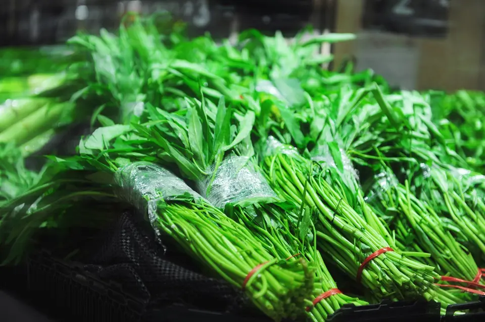 A loose bunch of water spinach with long hollow stems and pointed green leaves.