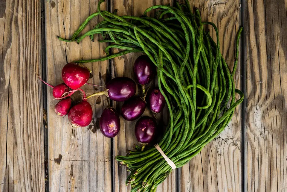 A loose bundle of long green yardlong beans tied with string on a kitchen counter.