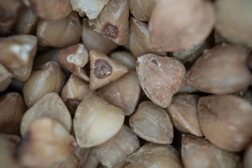 A bowl of pale green-brown hulled buckwheat groats on a rough linen cloth.