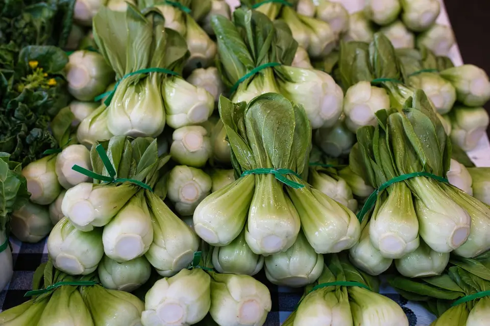 Small heads of bok choy with pale green stalks and dark green leaves on a white surface.