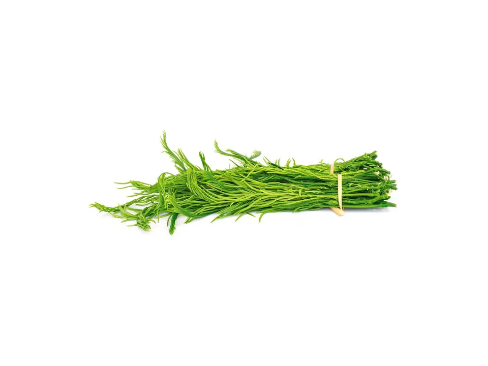 Cha-om, on a white background