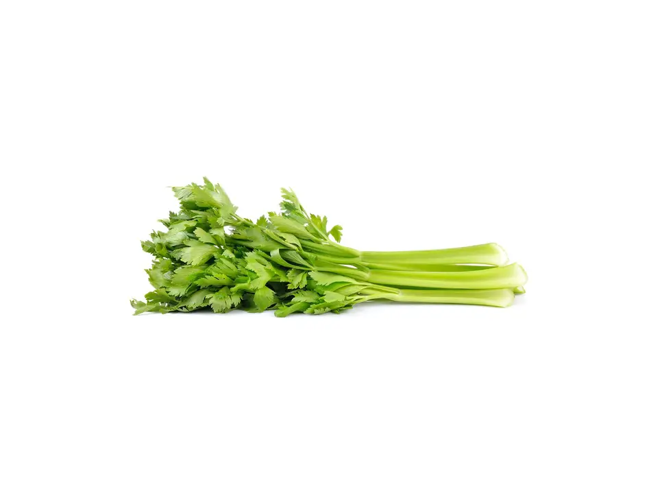 Chinese celery, on a white background