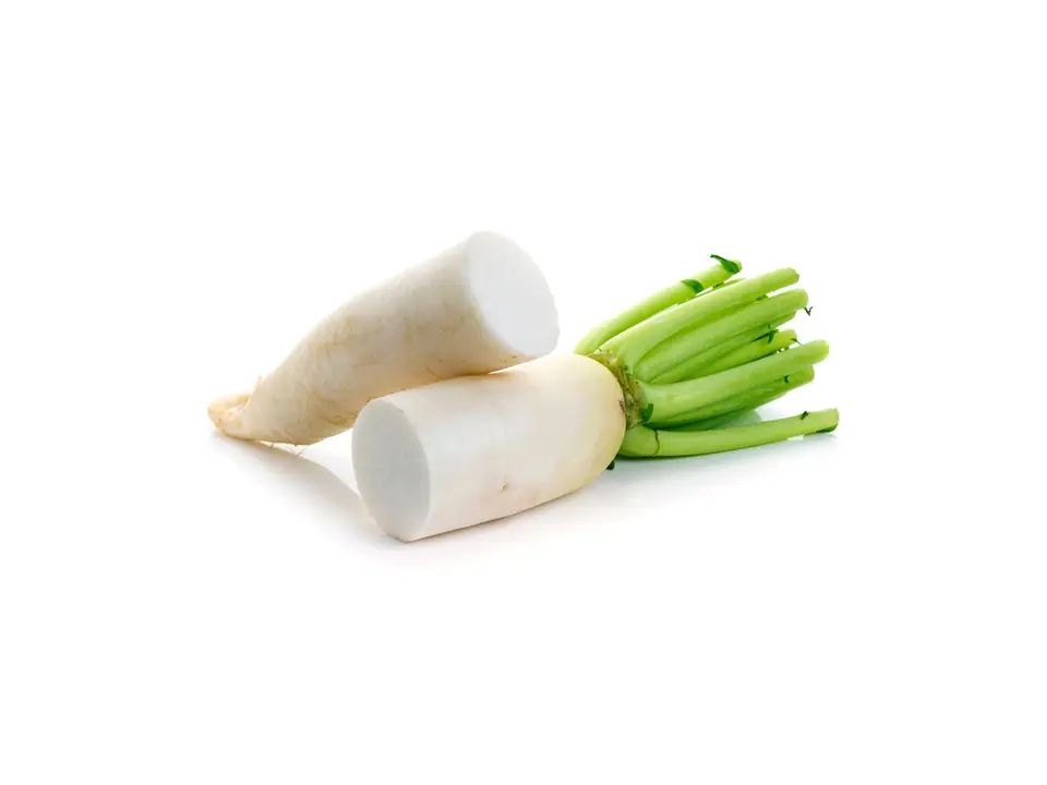 Daikon radish, on a white background
