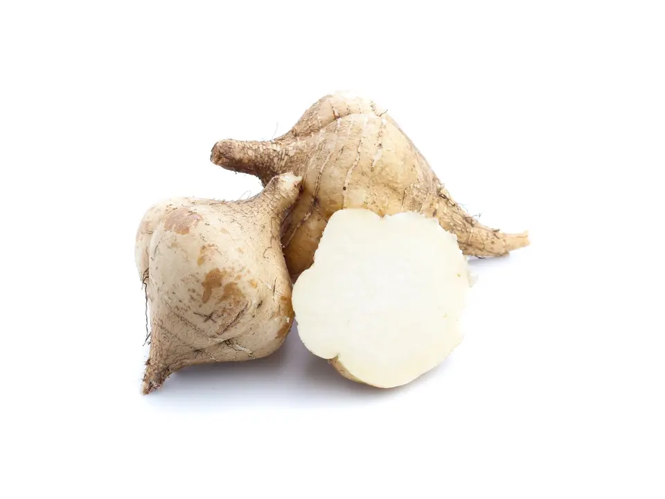 Jicama, on a white background