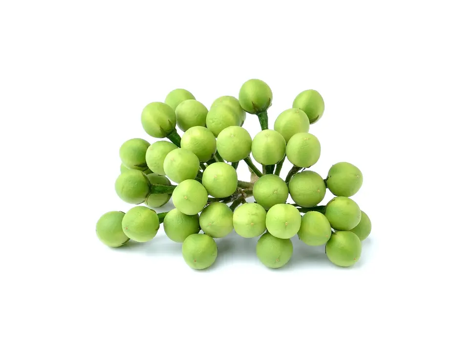 Pea eggplants, on a white background
