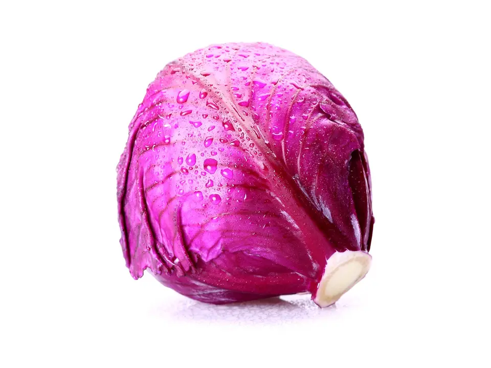 Red cabbage, on a white background