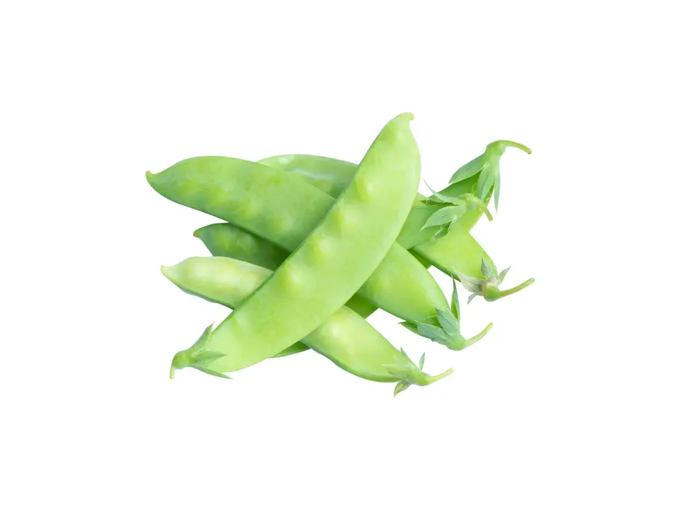 Snow peas, on a white background