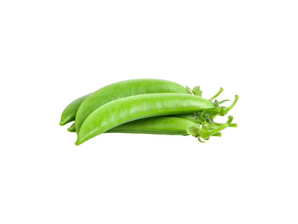 Sugar snap peas, on a white background
