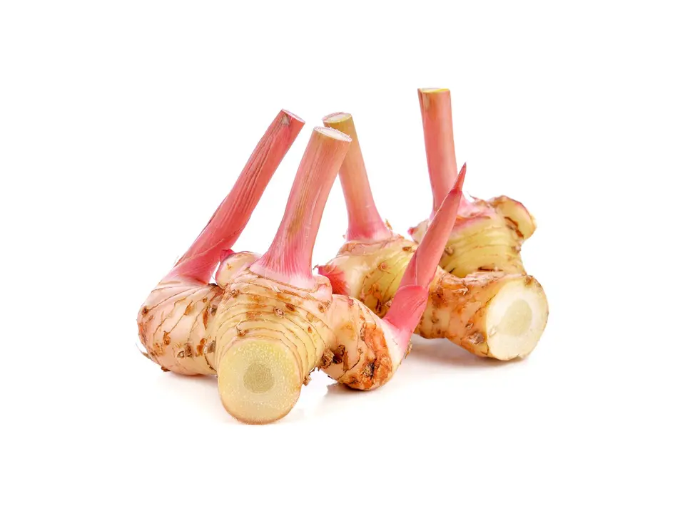 Galangal, on a white background
