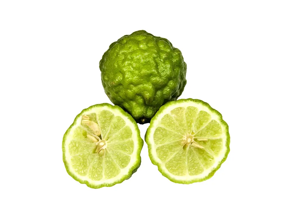 Kaffir lime (makrut), on a white background