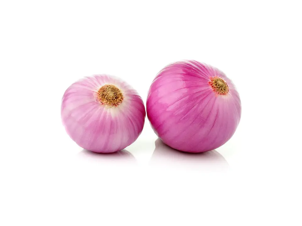 Shallot, on a white background