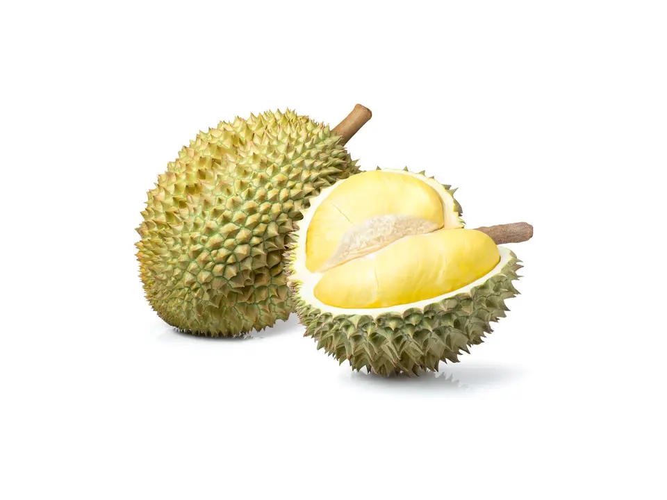 Durian, on a white background