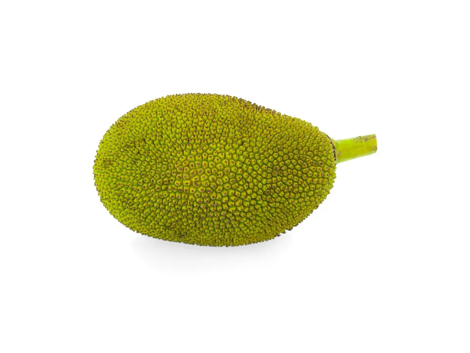Jackfruit (khanun), on a white background