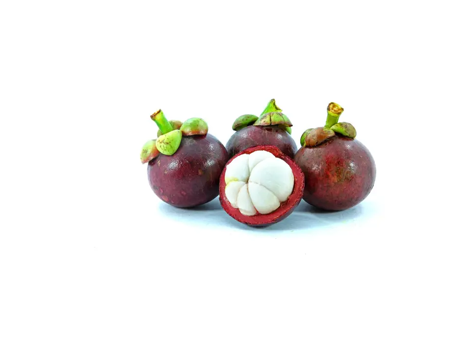 Mangosteen (mangkhut), on a white background