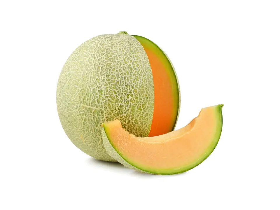 Melon, on a white background