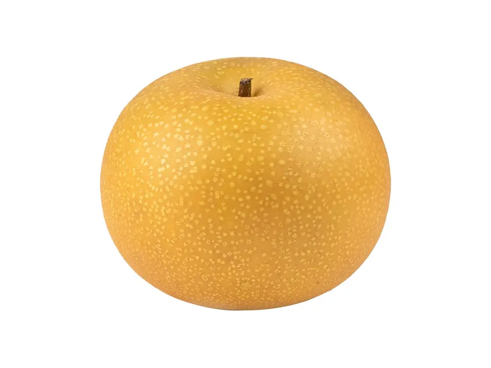 Asian pear, on a white background