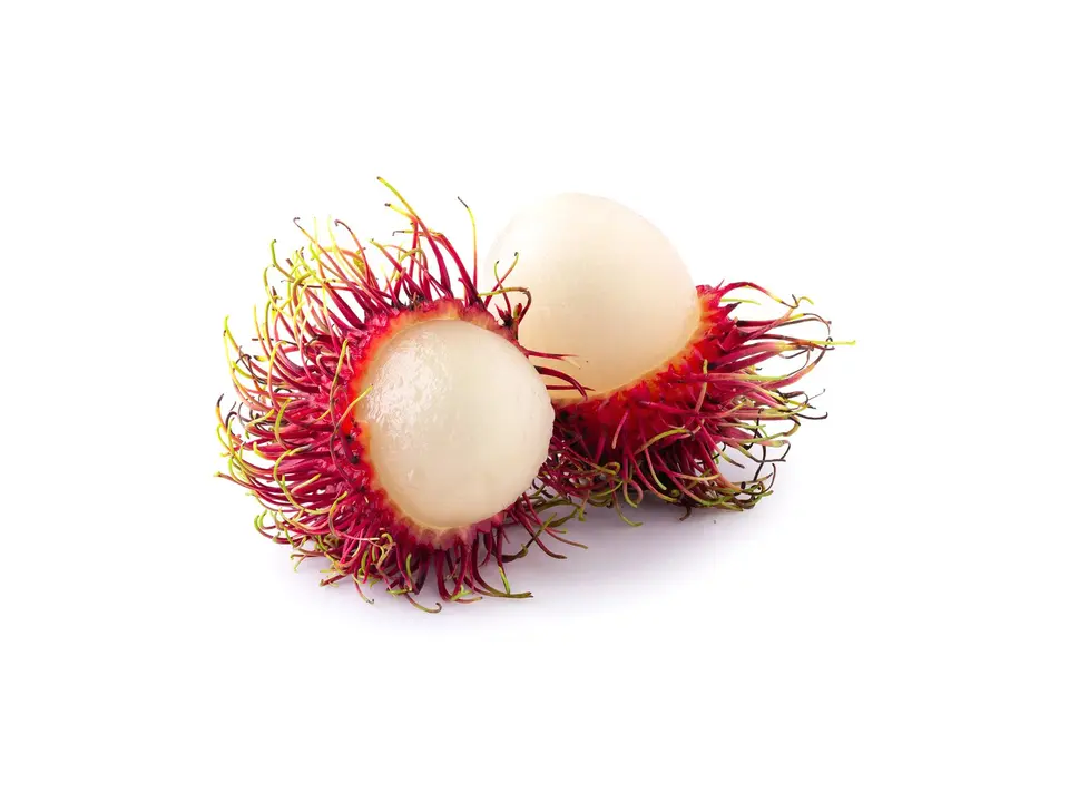 Rambutan (ngo), on a white background