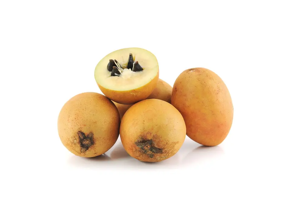 Sapodilla, on a white background