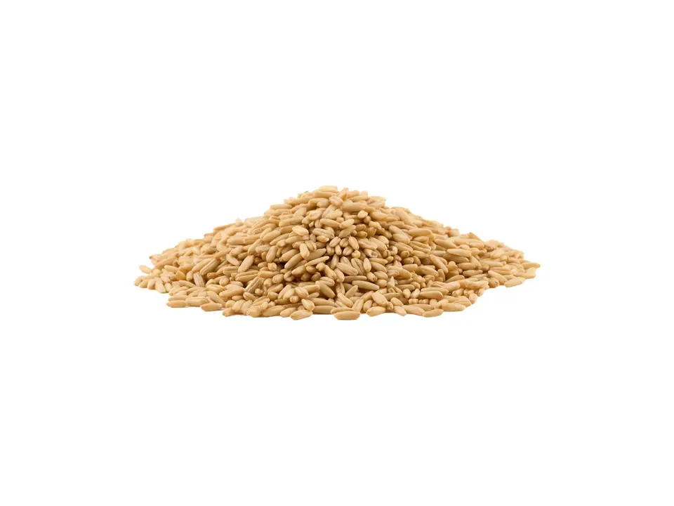Oat kernels, on a white background