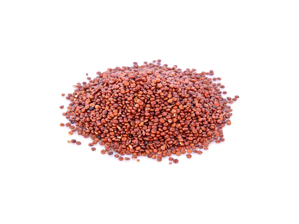 Red quinoa, on a white background