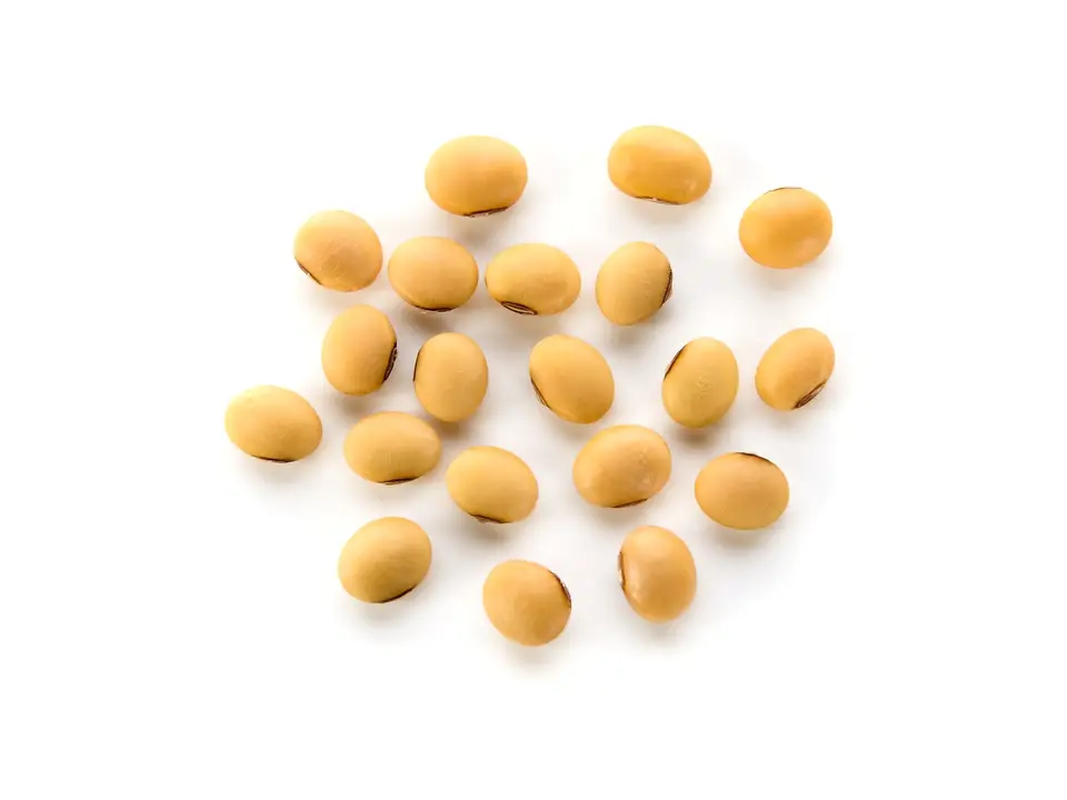 Organic soybeans, on a white background