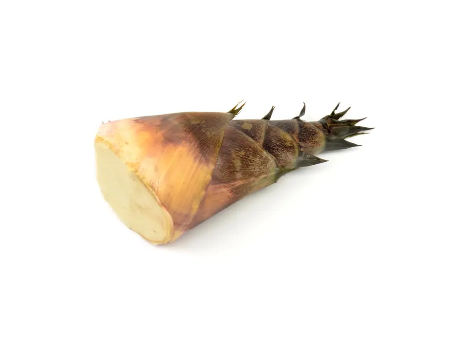Bamboo shoots, on a white background