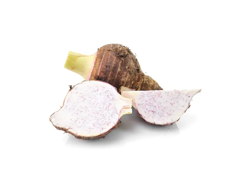 Taro, on a white background
