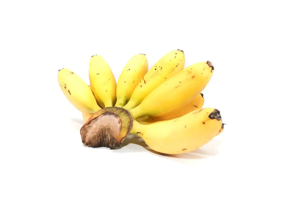 Lady finger bananas (kluai khai), on a white background
