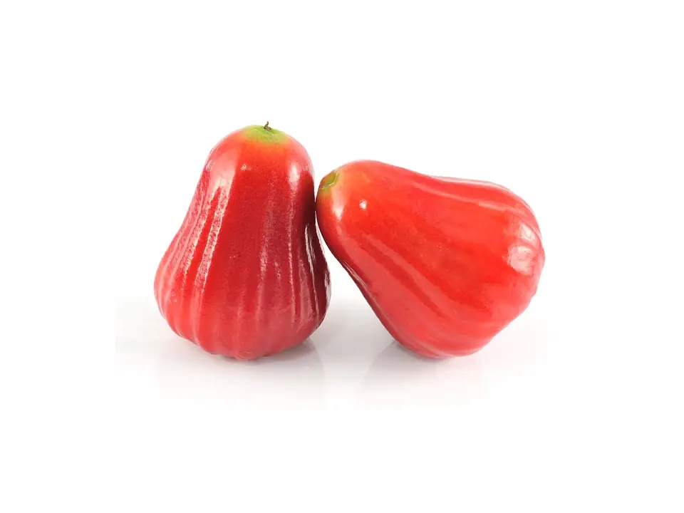 Rose apple, on a white background