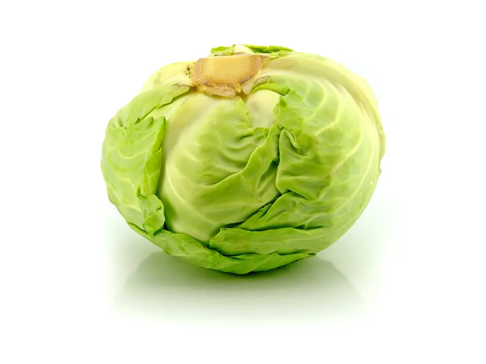 Cabbage, on a white background