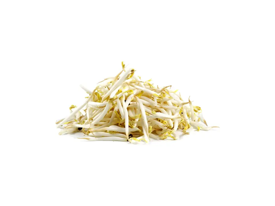 Bean sprouts, on a white background