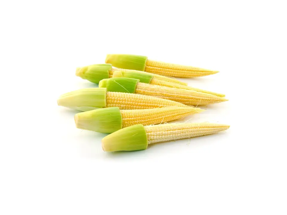 Baby corn, on a white background